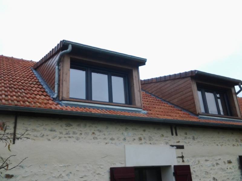 Chiens Assis Realises Chiens Assis Realises